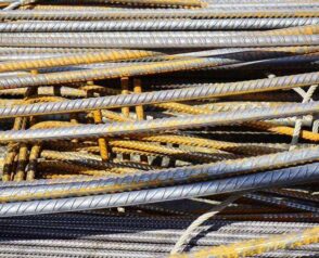 Zapalenie dziąseł u psa