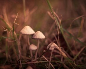 Najlepsze ustawienia dla maksymalnej efektywności